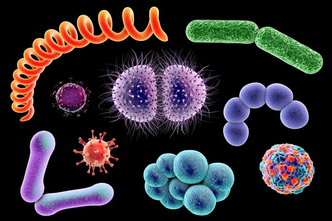 causative agents of fungal diseases